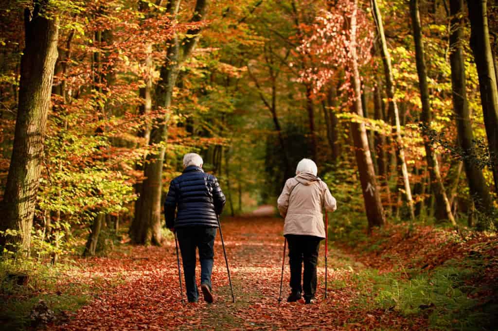 elderly people, couple, fall